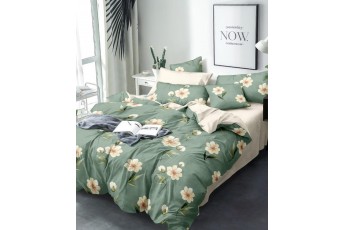 White Floral Mint Green Bed Sheet with Pillow Case