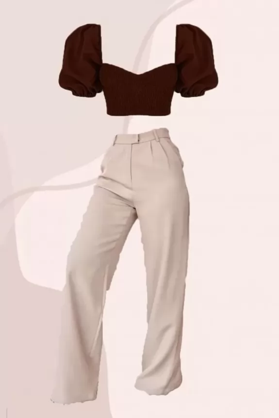 Set of 2 - Brown Crop Top With Beige Pants